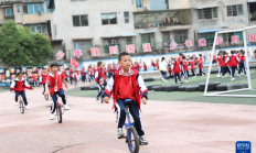 开云APP:这所城郊小学，遍地“长满”了体育器材——中小学“以体育人”成效观察之一
